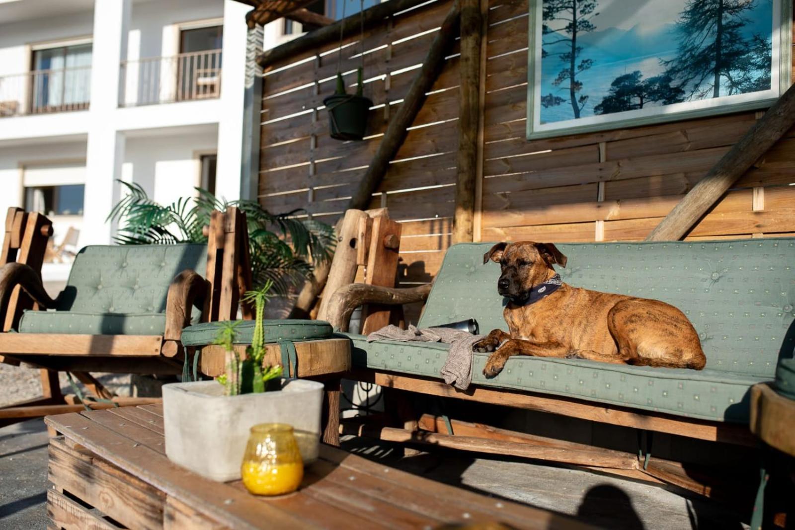 Villa Intuitiva - Relaxation And Mindful Stay Lourinhã Exteriér fotografie